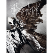 Review: Morgoth - Cursed To Live (DVD)