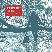Review: Achim Seifert Project - Plans To Wake Up On The Beach