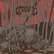 Review: Conan - Evidence of Immortality