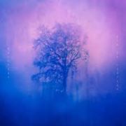 Review: Wallners - End Of Circles