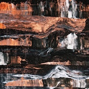 Barrens: Corpse Lights