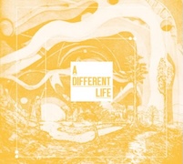 Review: Catt - A Different Life