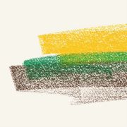 Flore Laurentienne: Volume III